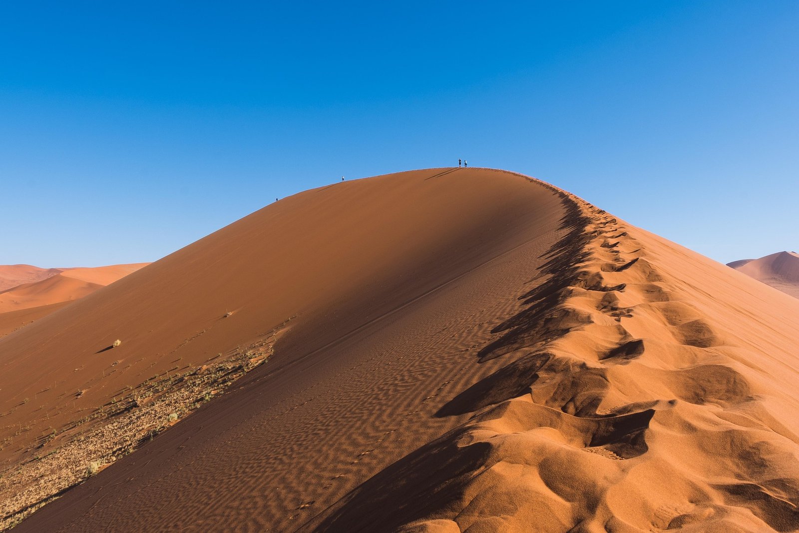 dune