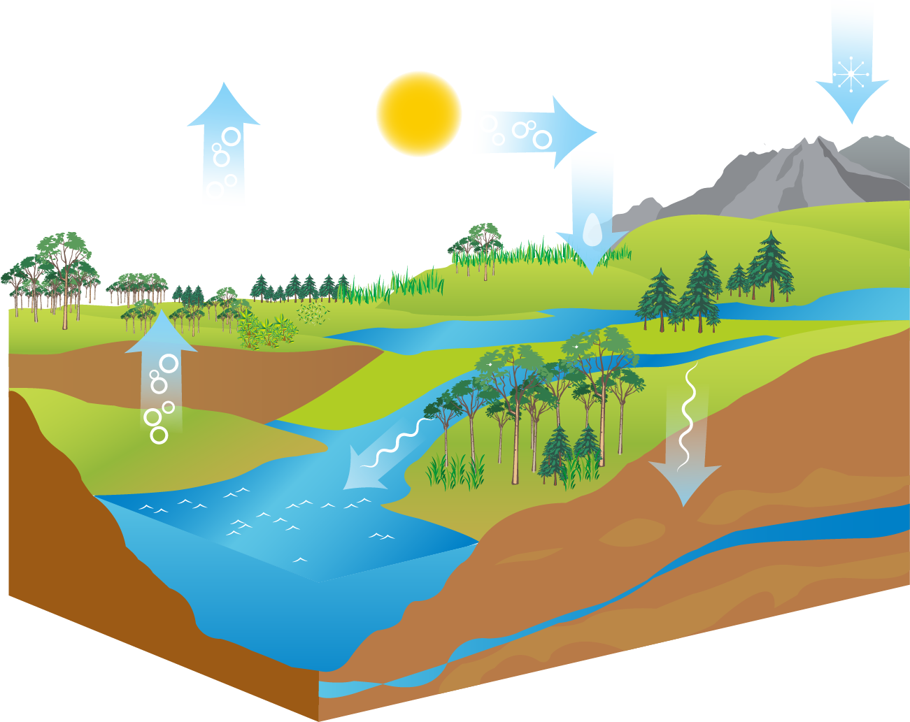 Le cycle de l'eau