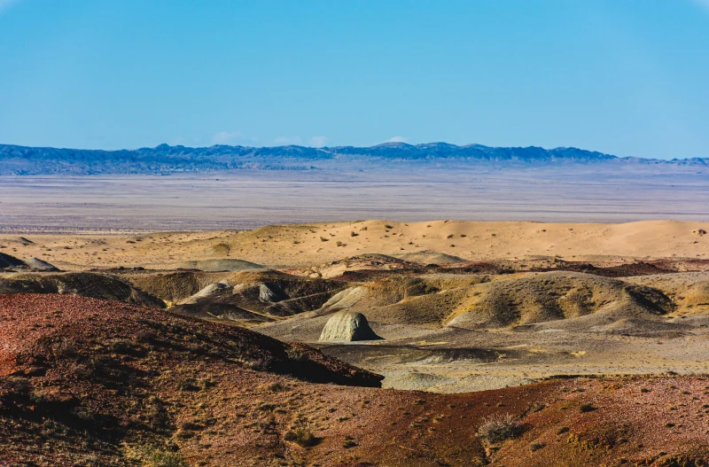 Gobi