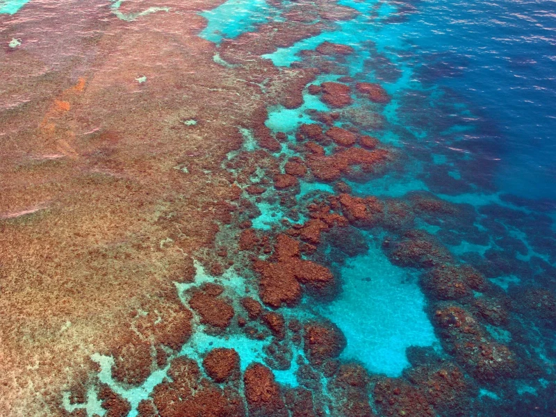 grande barrière de corail