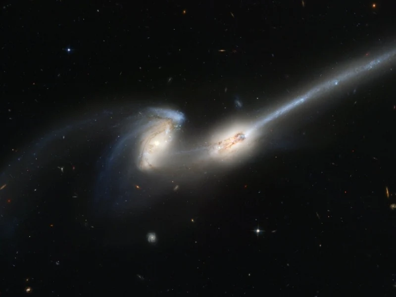 2 galaxies