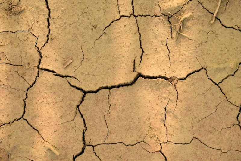 terre sèche