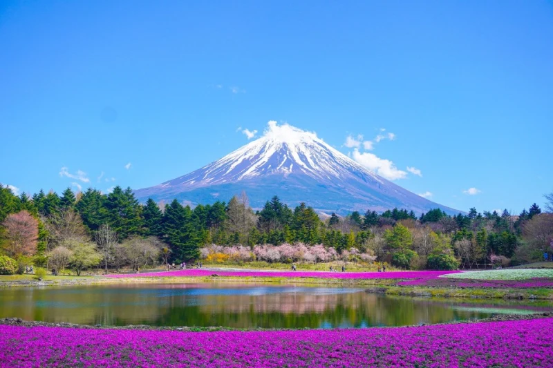 lac au pied du mont Fuji