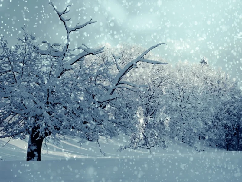 neige
