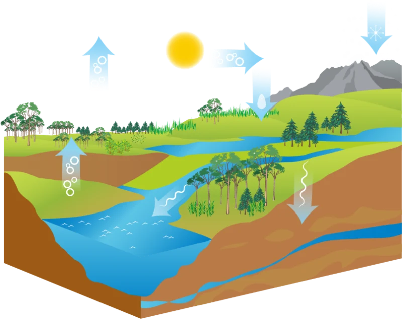 Le cycle de l'eau