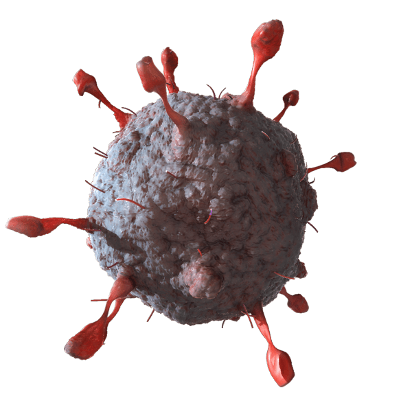 virus