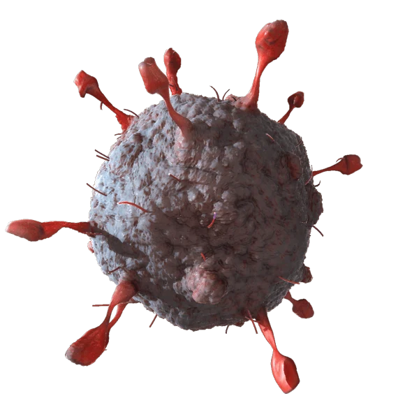 virus